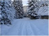 Zgornji Goreljek - Planina Zajamniki